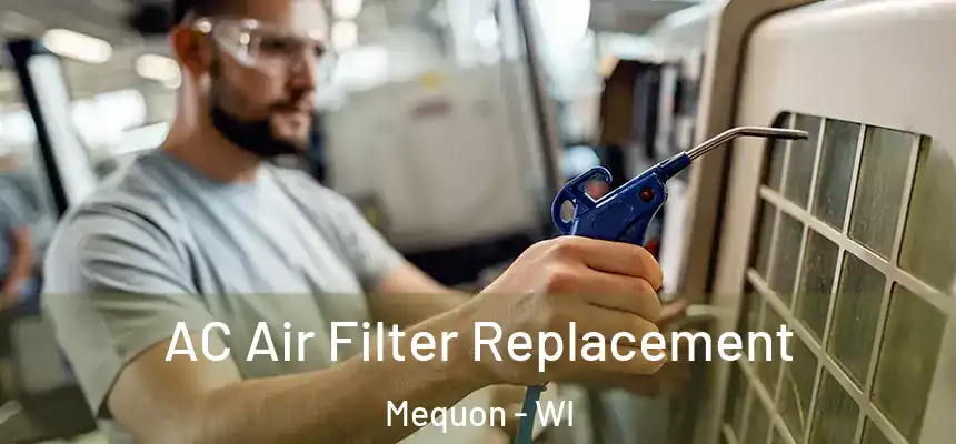  AC Air Filter Replacement Mequon - WI