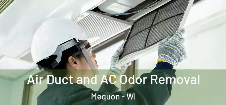 Air Duct and AC Odor Removal Mequon - WI