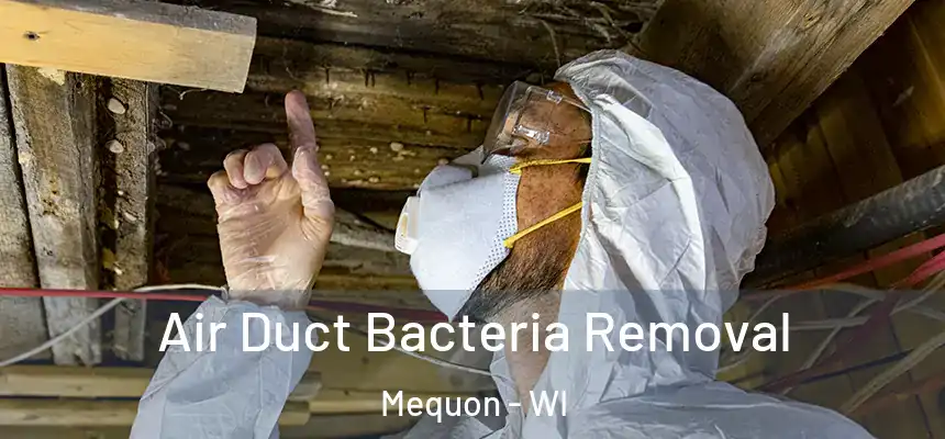 Air Duct Bacteria Removal Mequon - WI
