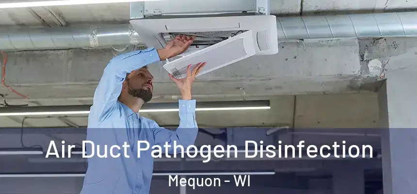  Air Duct Pathogen Disinfection Mequon - WI
