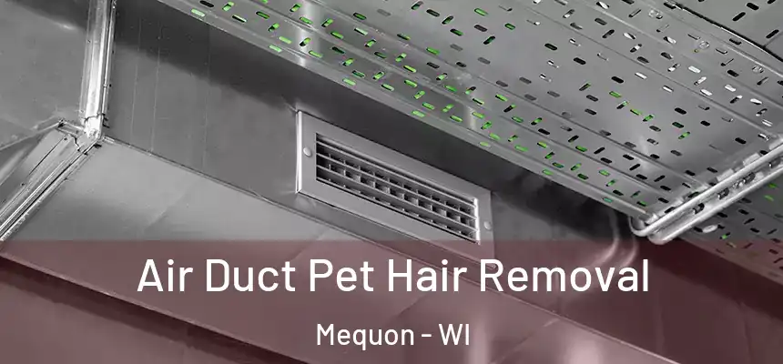 Air Duct Pet Hair Removal Mequon - WI