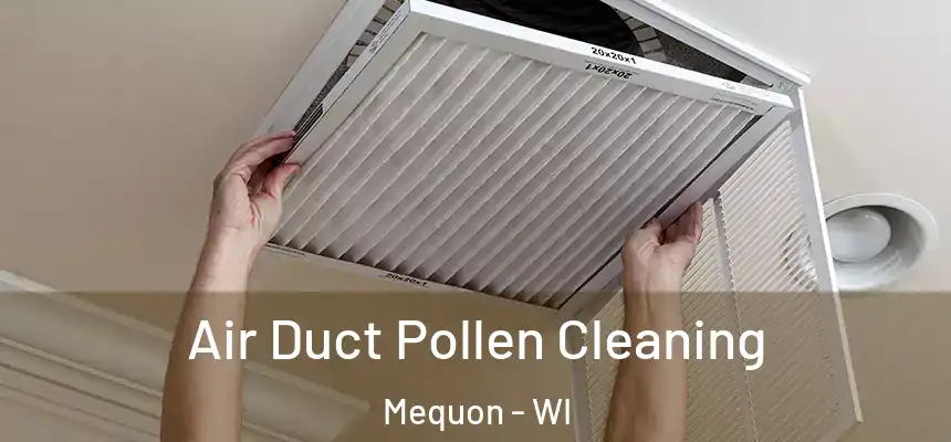  Air Duct Pollen Cleaning Mequon - WI