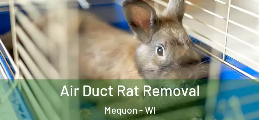  Air Duct Rat Removal Mequon - WI
