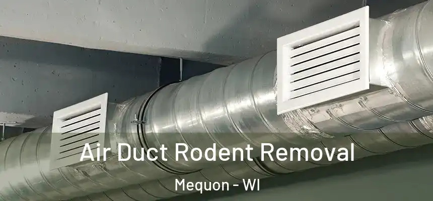  Air Duct Rodent Removal Mequon - WI