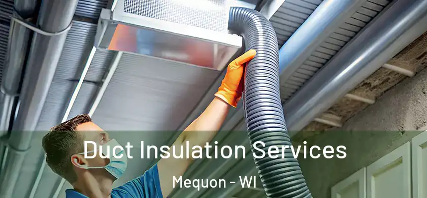  Duct Insulation Services Mequon - WI