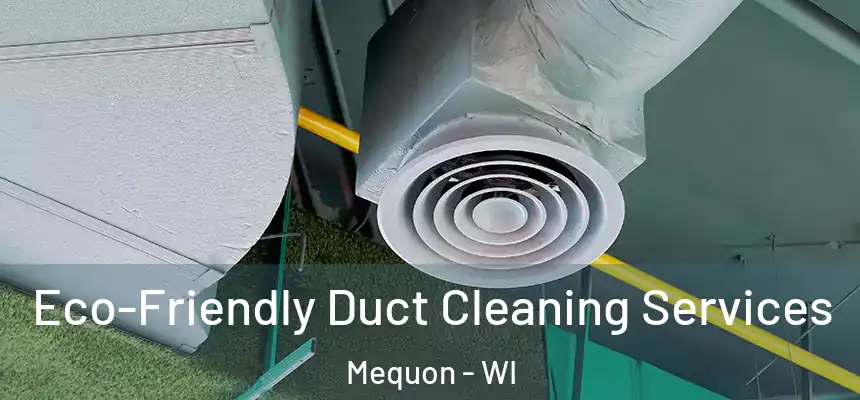 Eco-Friendly Duct Cleaning Services Mequon - WI