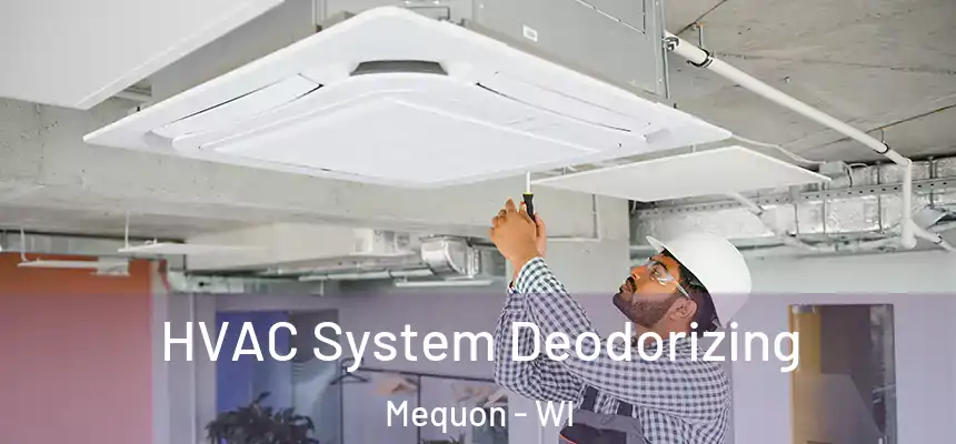  HVAC System Deodorizing Mequon - WI