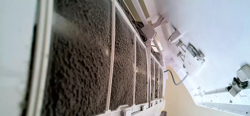 Preventive Air Duct Bacteria Removal in Mequon