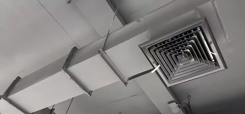 Our Rodent Droppings In Vents Services in Mequon, WI