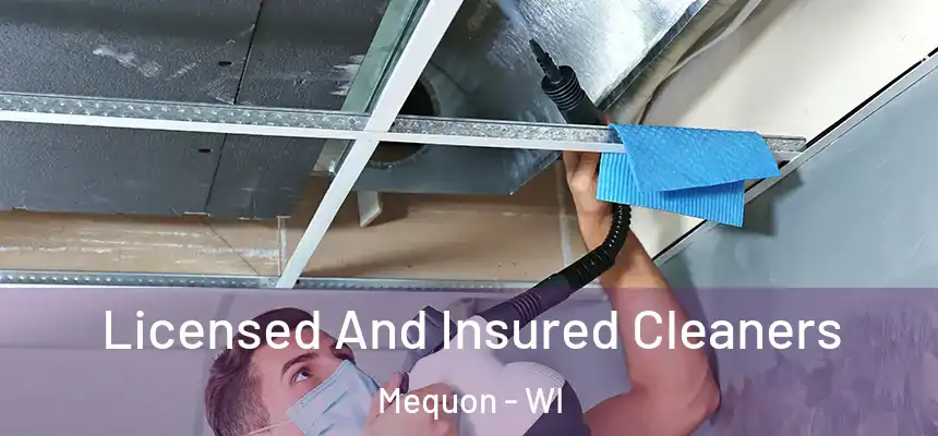 Licensed And Insured Cleaners Mequon - WI