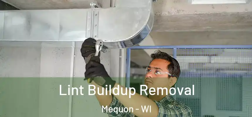  Lint Buildup Removal Mequon - WI
