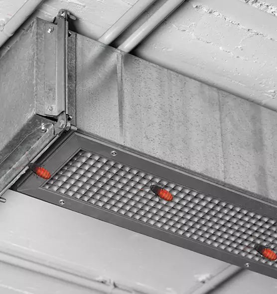 About Air Duct Cockroach Removal in Mequon, WI