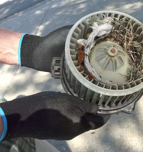 About Air Duct Mice Removal in Mequon, WI