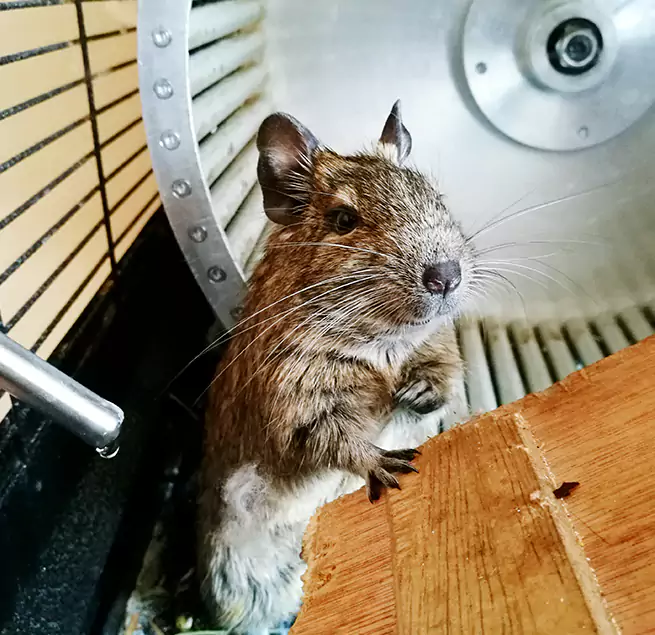 Why Homeowners & Businesses Trust Us Mequon, WI?