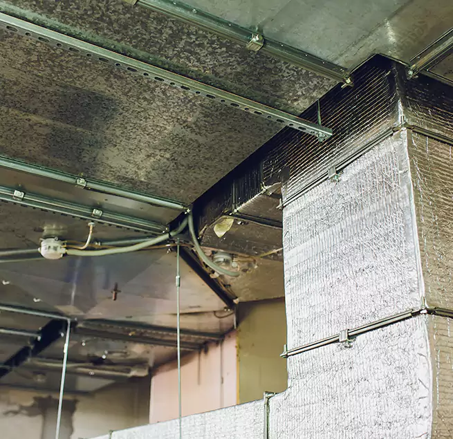 Why Homeowners & Businesses Trust Us in Mequon, WI?